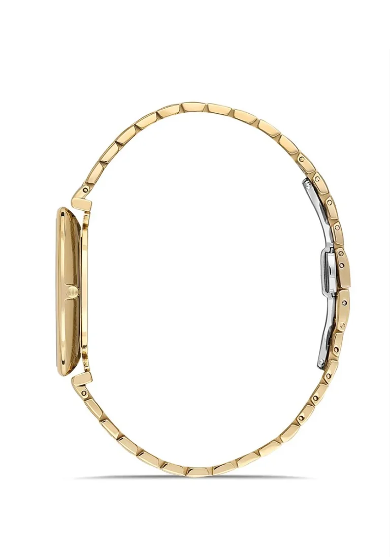 HISLON CL179G-02SG Erkek Kol Saati