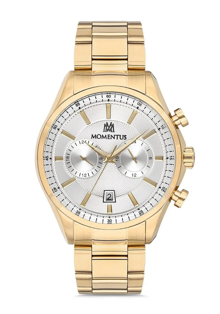 MOMENTUS CC102G-02SG Erkek Kol Saati