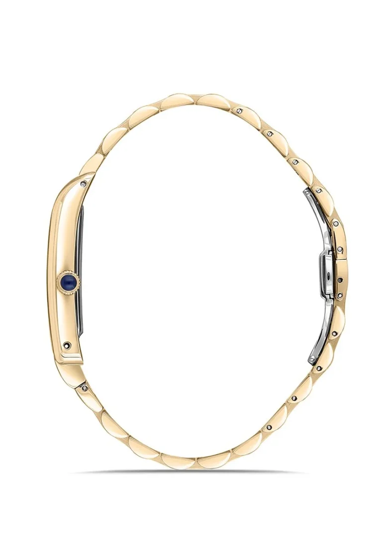 MOMENTUS CM365G-02SG Erkek Kol Saati