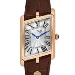 MOMENTUS CM365R-02KR Erkek Kol Saati