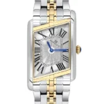 MOMENTUS CM365T-02SG ERKEK KOL SAATİ