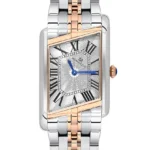 MOMENTUS CM365T-02SR Erkek Kol Saati
