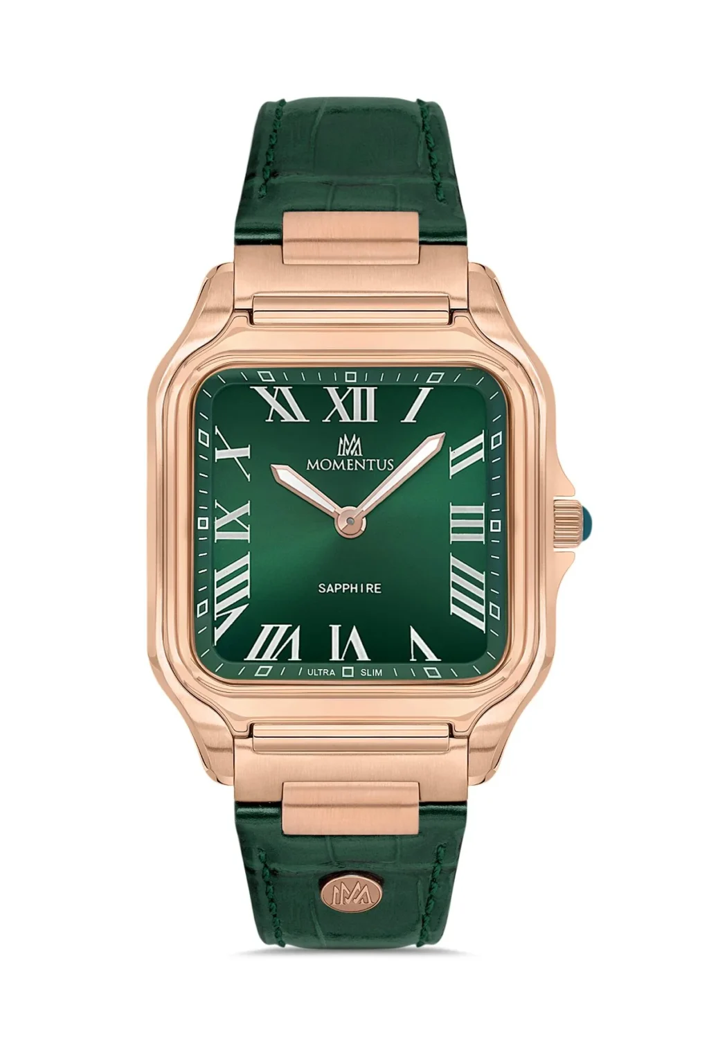 MOMENTUS EM348R-15YR Erkek Kol Saati