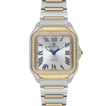 MOMENTUS SS348T-02SG KADIN KOL SAATİ