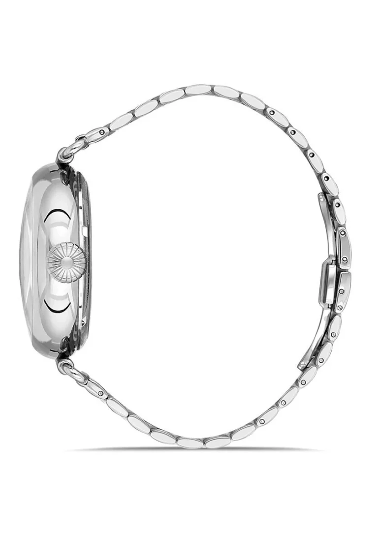 MOMENTUS TM271S-17SS Erkek Kol Saati