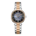SLAZENGER SL.09.2593.3.550 KADIN KOL SAATİ