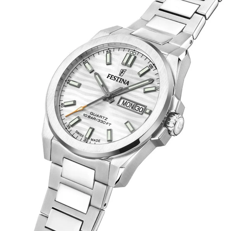 FESTINA SWISS F20073/1 CLASSIQUES ERKEK KOL SAATİ