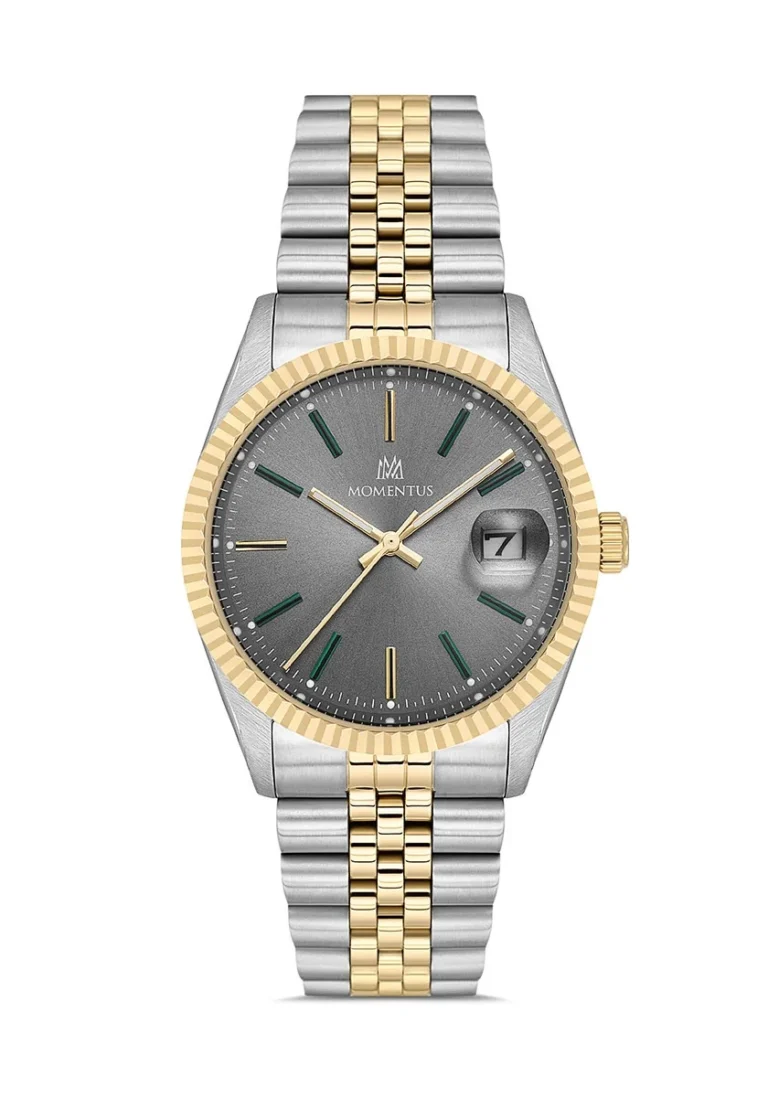 MOMENTUS CR251T-03SG ERKEK KOL SAATİ