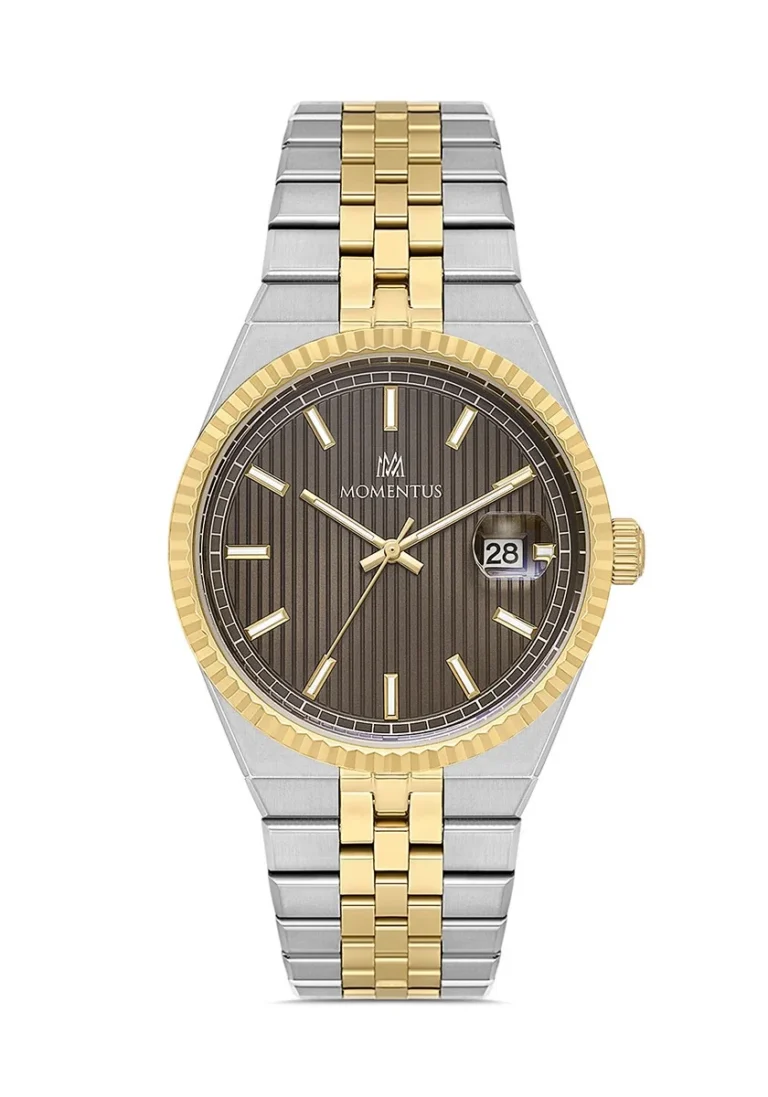 MOMENTUS CR264T-03SG ERKEK KOL SAATİ