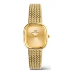 DANIEL WELLINGTON DW00600964 KADIN KOL SAATİ