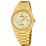 FESTINA F20038/2 ERKEK KOL SAATİ