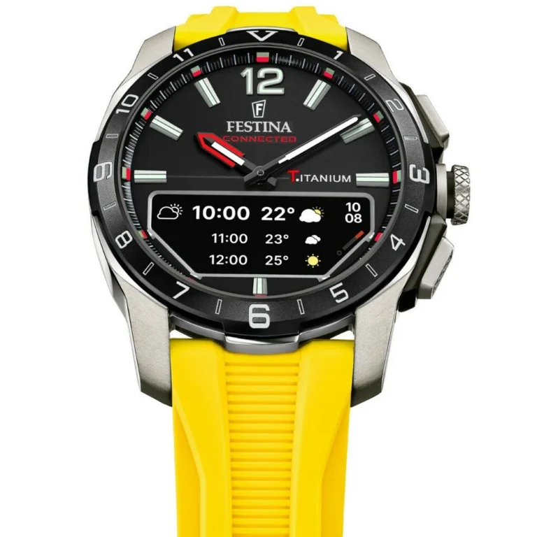 FESTINA F23000/A ERKEK KOL SAATİ