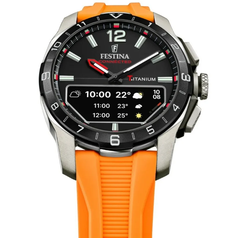 FESTINA F23000/D ERKEK KOL SAATİ