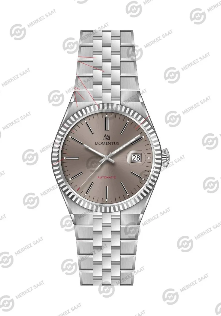 MOMENTUS MM104S-03SS ERKEK KOL SAATİ