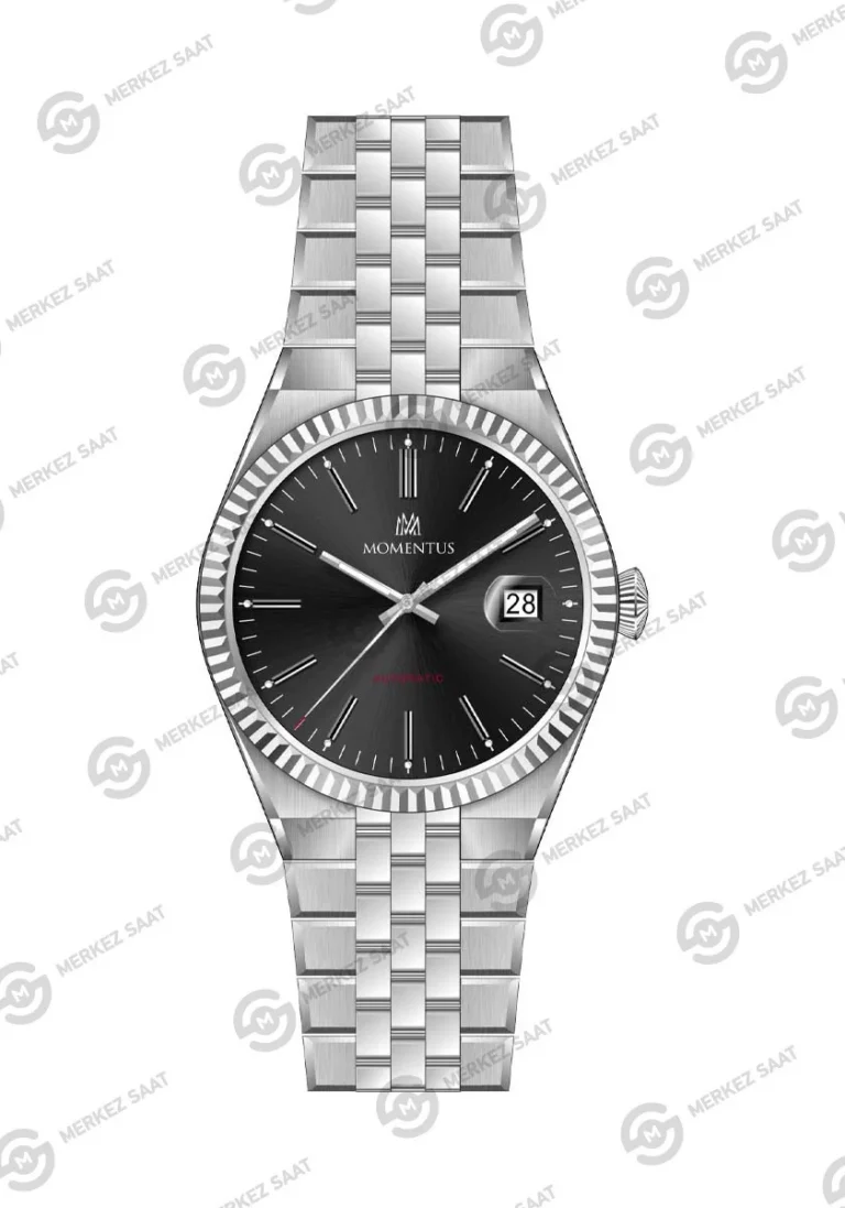 MOMENTUS MM104S-04SS ERKEK KOL SAATİ