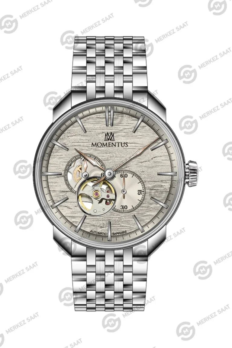 MOMENTUS MM410S-05SS ERKEK KOL SAATİ